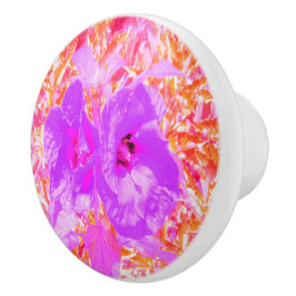 2紫とホットピンクの梅ハイビ熱狂するスカス セラミックノブ