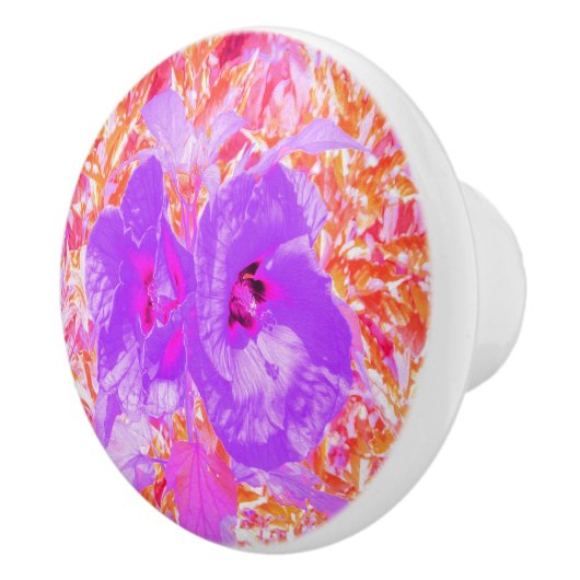 2紫とホットピンクの梅ハイビ熱狂するスカス セラミックノブ (右)