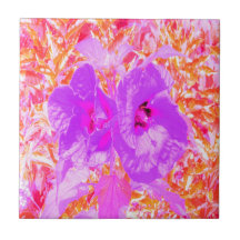 2紫とホットピンクの梅ハイビ熱狂するスカス