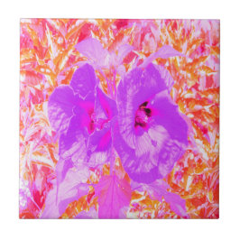 2紫とホットピンクの梅ハイビ熱狂するスカス タイル