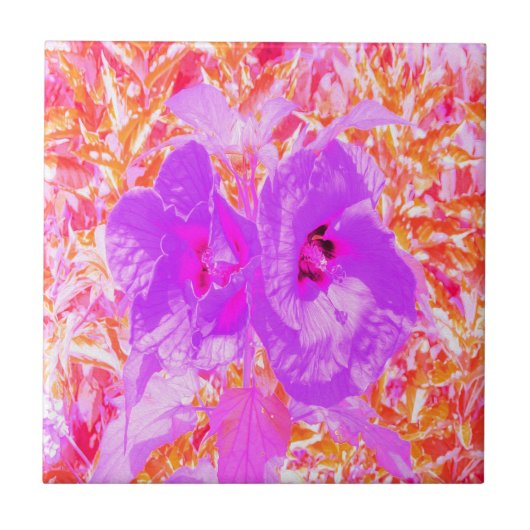 2紫とホットピンクの梅ハイビ熱狂するスカス タイル (正面)