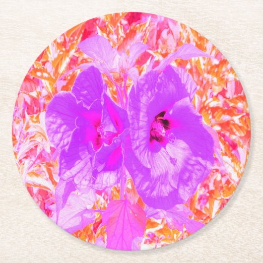 2紫とホットピンクの梅ハイビ熱狂するスカス ラウンドペーパーコースター (正面)