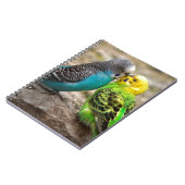 2羽のインコ ノートブック (左側)