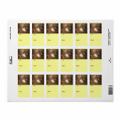 2羽のウサギと1匹のモルモット ラベル (フルシート)