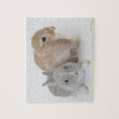 2羽のウサギ。オランダ矮星とホランドロップ。 ジグソーパズル (縦)
