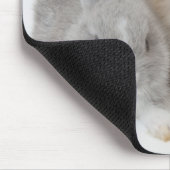 2羽のウサギ。オランダ矮星とホランドロップ。 マウスパッド (コーナー)