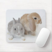 2羽のウサギ。オランダ矮星とホランドロップ。 マウスパッド (マウス)