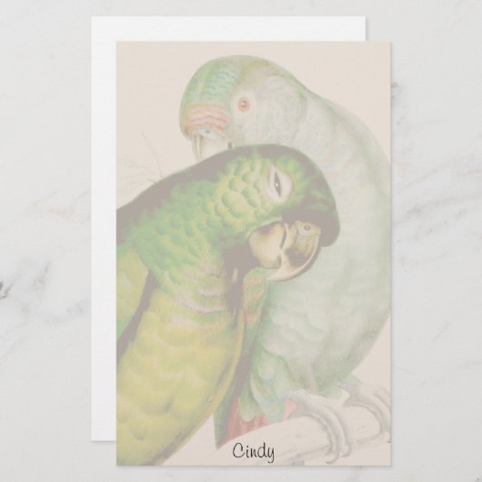 2羽のオウムの鳥の野性生物動物の文房具 便箋 (正面/裏面)