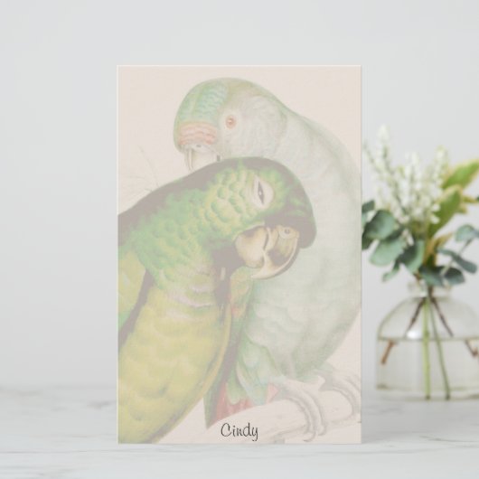 2羽のオウムの鳥の野性生物動物の文房具 便箋 (スタンド正面)