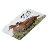 2羽のカモが岩の上で歩く マグネット (左側)