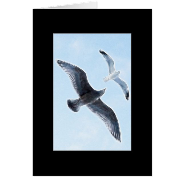 2羽のカモメ (正面)