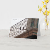 2羽のカラスのバースデー・カード カード (黄色い花)