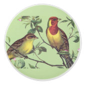 2羽のカラフル鳥 セラミックノブ (正面)