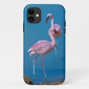 2羽のピンクのフラミンゴ iPhone 11 ケース