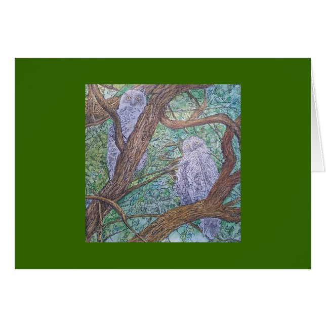 2羽のフクロウ (正面横)