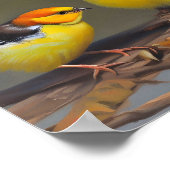 2羽のベビーの鳥が枝に座っている ポスター (角)