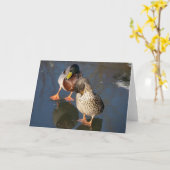 2羽のマガモのアヒルの挨拶状 カード (黄色い花)