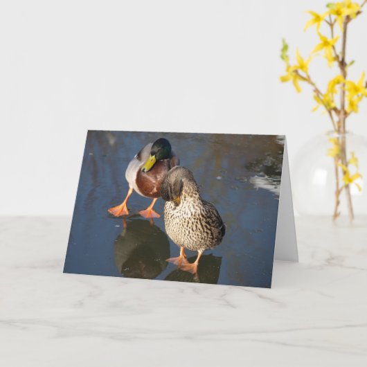 2羽のマガモのアヒルの挨拶状 カード (黄色い花)
