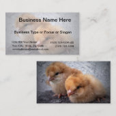 2羽のロードアイランド赤のひよこの写真のヴィグネット 名刺 (正面/裏面)