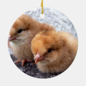2羽のロードアイランド赤のひよこの写真 セラミックオーナメント (裏面)