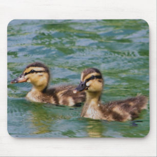 2羽の子ガモのmousepad マウスパッド