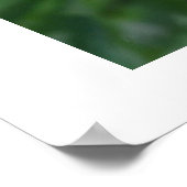 2羽の小love鳥 ポスター (角)