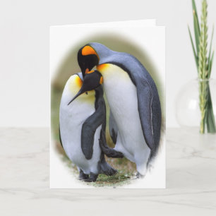 2羽の愛ペンギン シーズンカード