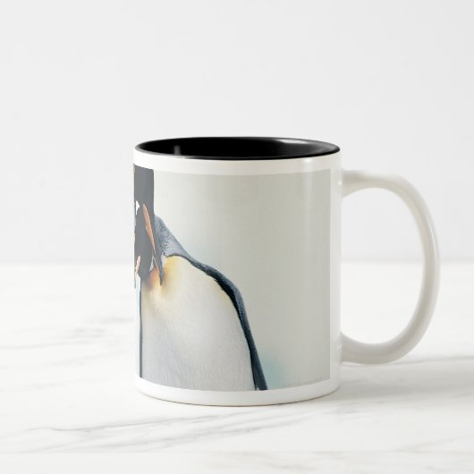 2羽の愛情深いペンギン ツートーンマグカップ (右)