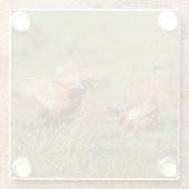 2羽の男性のリング首のキジの戦い ガラスコースター (裏面)