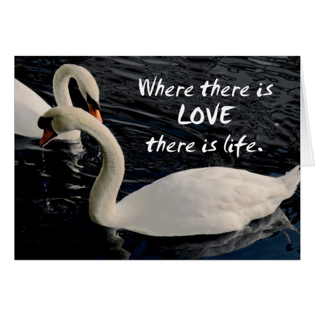 2羽の白鳥の湖 (正面横)