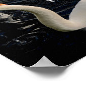 2羽の白鳥の湖 ポスター (角)