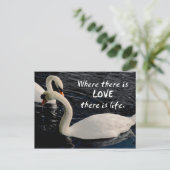 2羽の白鳥の湖 ポストカード (スタンド正面)