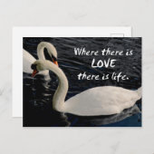 2羽の白鳥の湖 ポストカード (正面/裏面)