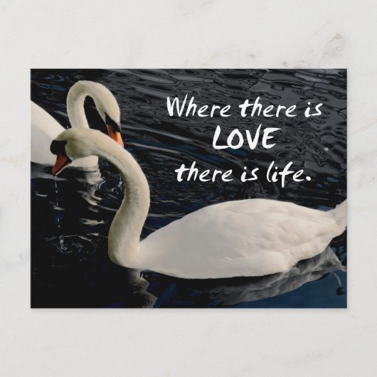 2羽の白鳥の湖 ポストカード (正面)
