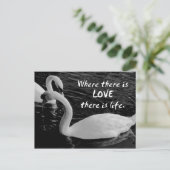 2羽の白鳥の湖 ポストカード (スタンド正面)