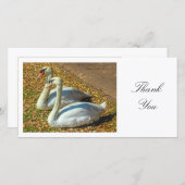 2羽の白鳥 – ありがとう サンキューカード (正面/裏面)