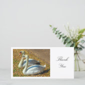 2羽の白鳥 – ありがとう サンキューカード (スタンド正面)