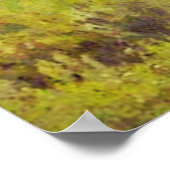 2羽の美しい鳥 ポスター (角)