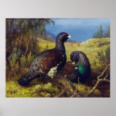 2羽の美しい鳥 ポスター (正面)