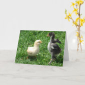 2羽の雛が少し意見の相違 カード (黄色い花)