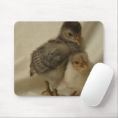 2羽の青灰色のヒヨコ マウスパッド (マウス)
