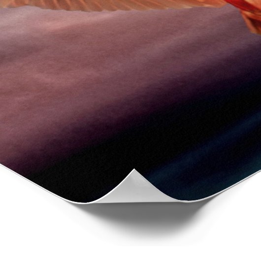 2羽の鳥 ポスター (角)