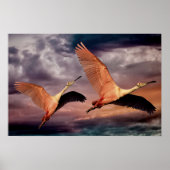 2羽の鳥 ポスター (正面)