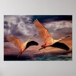 2羽の鳥 ポスター