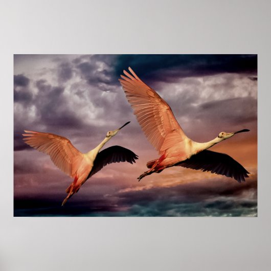 2羽の鳥 ポスター (正面)