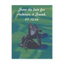 2羽の黒い白鳥が泳いで日付はがきを保存