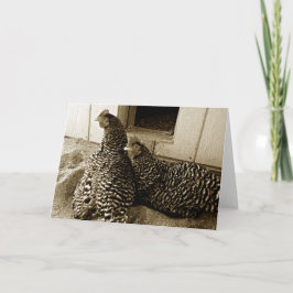 2羽最高のの友 カード