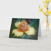 2色アイリス（タンと黄色） カード (黄色い花)