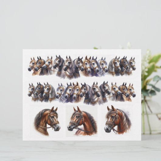 2行プラス3美独身のしい馬 (スタンド正面)