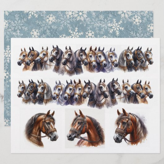 2行プラス3美独身のしい馬 (正面/裏面)